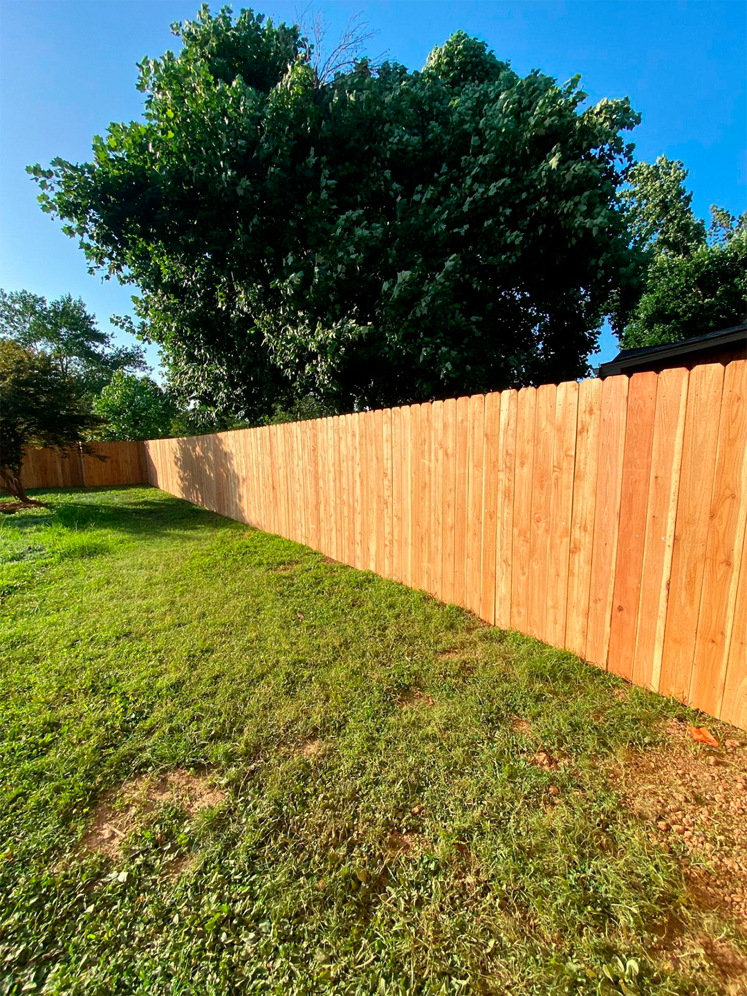 Fence 6